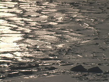 iceflow